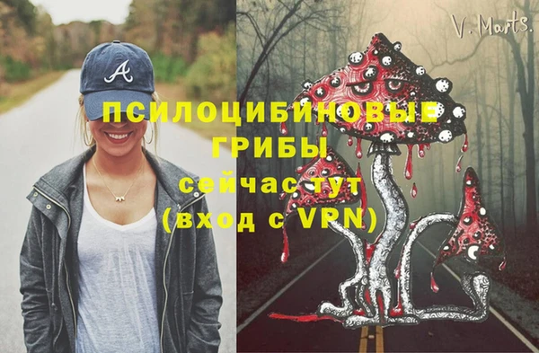 спайс Армянск